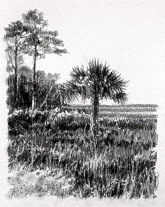 River Palm & Pines