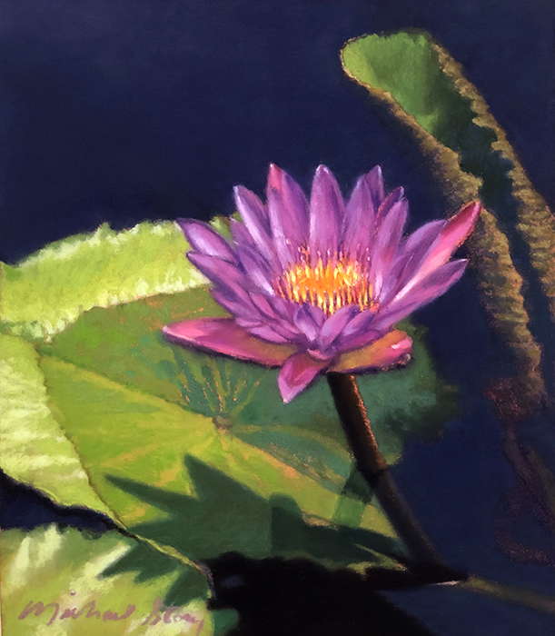 Water Lily #10