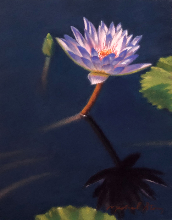 Water Lily #5