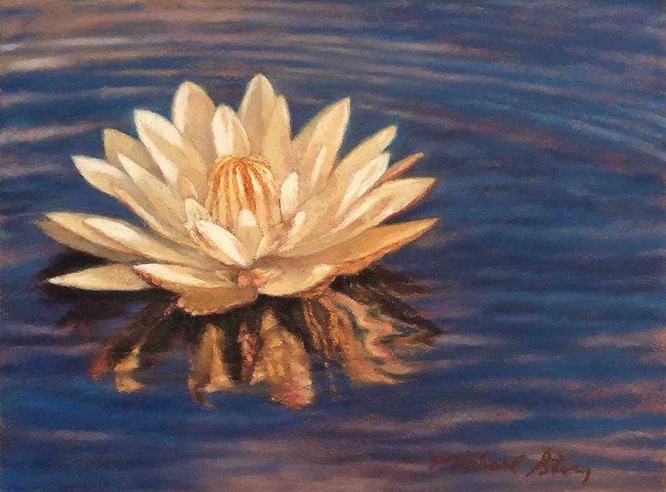 Water Lily #6