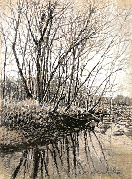 Bare Branch Reflections