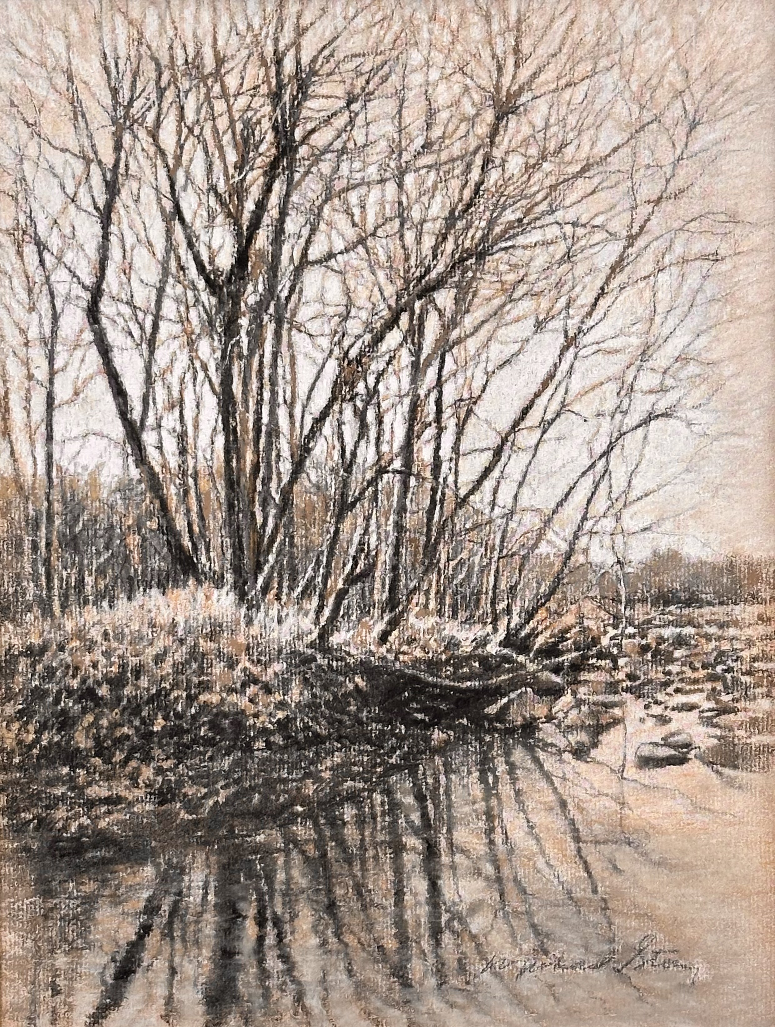 Bare Branch Reflections