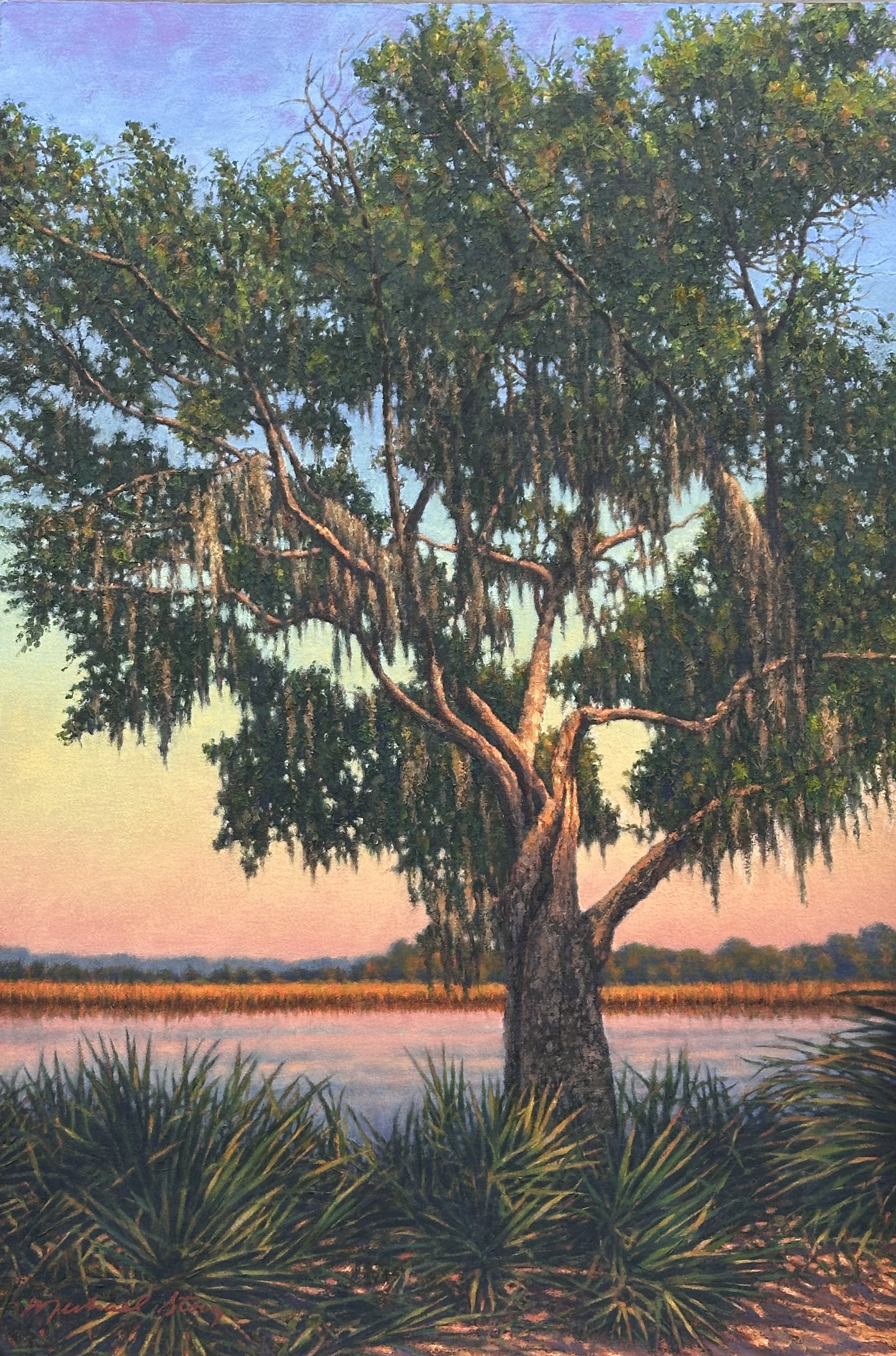 Dataw Island Oak II