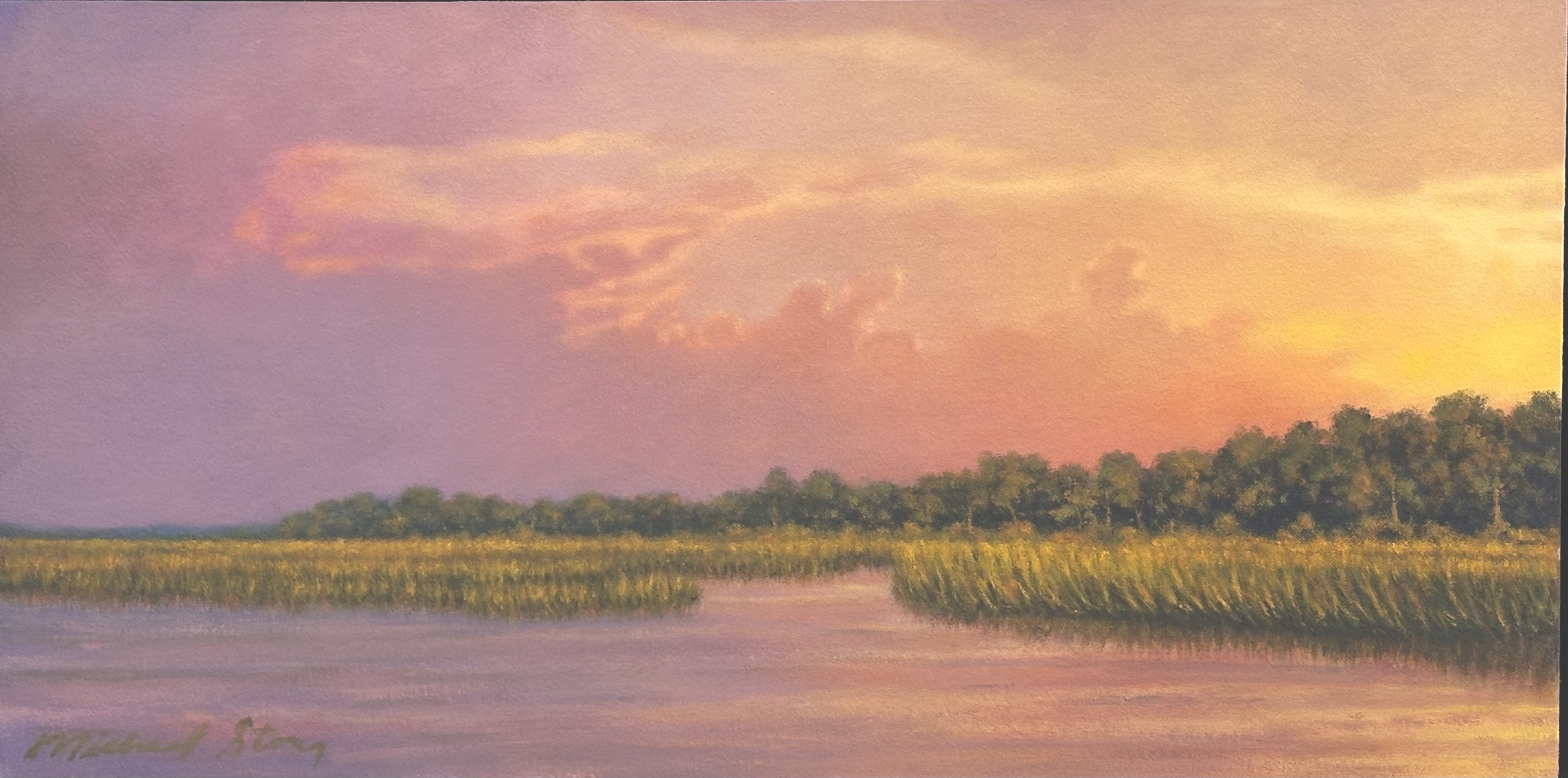 Illuminating Edisto