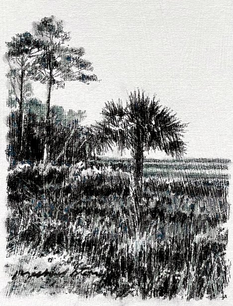 River Palm & Pines