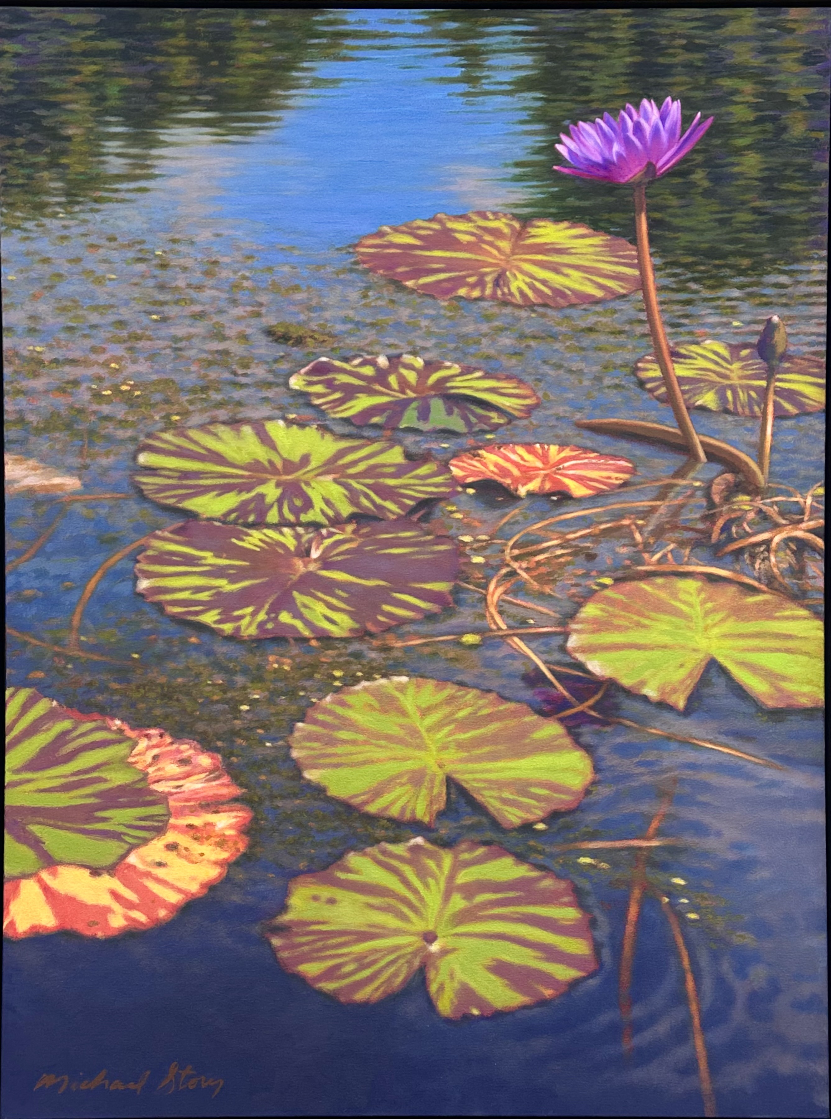 Water Lilies at Brookgreen, II